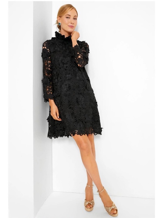 Tuckernuck Dresses & Skirts - Tuckernuck Guipure Lace Daphne Dress Black Size S